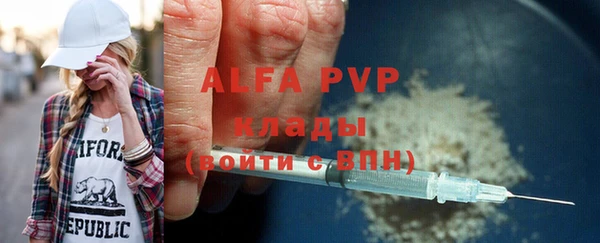 сатива Аша