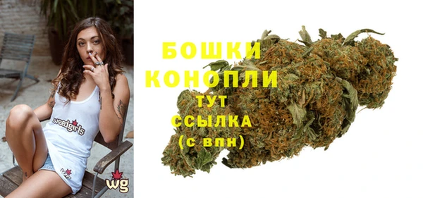 МДПВ Новодвинск