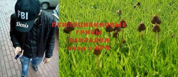МДПВ Новодвинск
