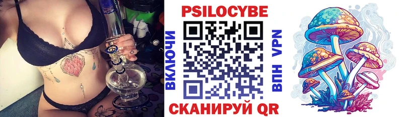 дарнет шоп  Тбилисская  Псилоцибиновые грибы GOLDEN TEACHER 